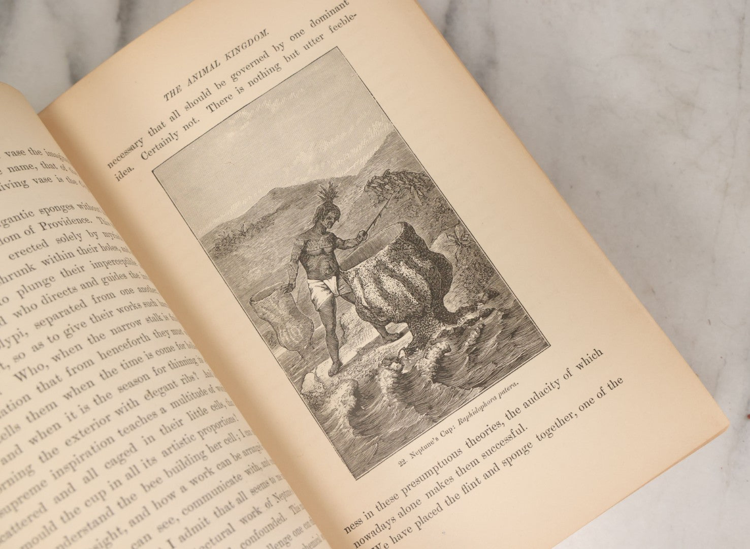 Lot 013 - "The Universe; Or The Wonders Of Creation, The Infinitely Great And The Infinitely Little" Antique Natural History Book By F.A. Pouchet, M.D., With 270 Engravings, B.B. Russell, Publisher, Boston, Seventh Edition, 1882