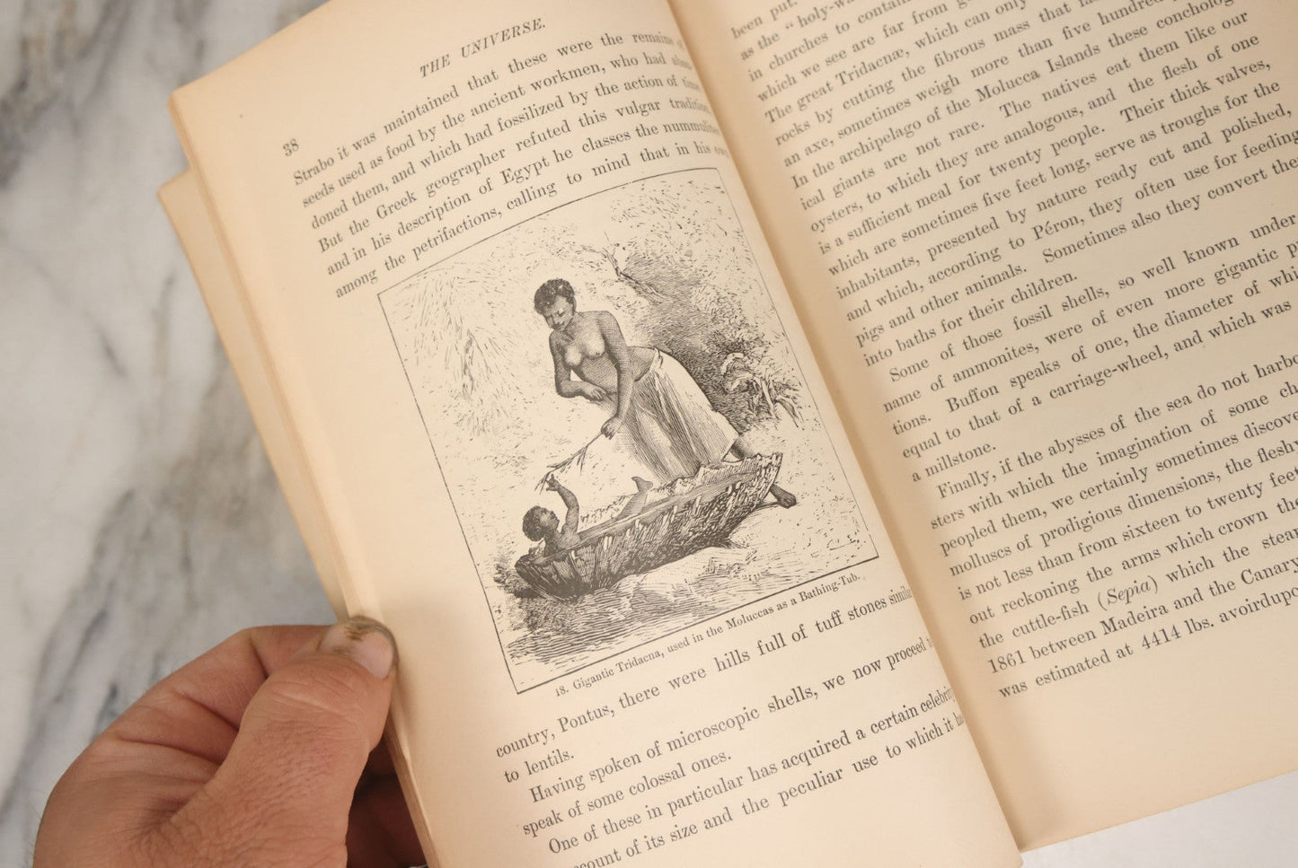 Lot 013 - "The Universe; Or The Wonders Of Creation, The Infinitely Great And The Infinitely Little" Antique Natural History Book By F.A. Pouchet, M.D., With 270 Engravings, B.B. Russell, Publisher, Boston, Seventh Edition, 1882