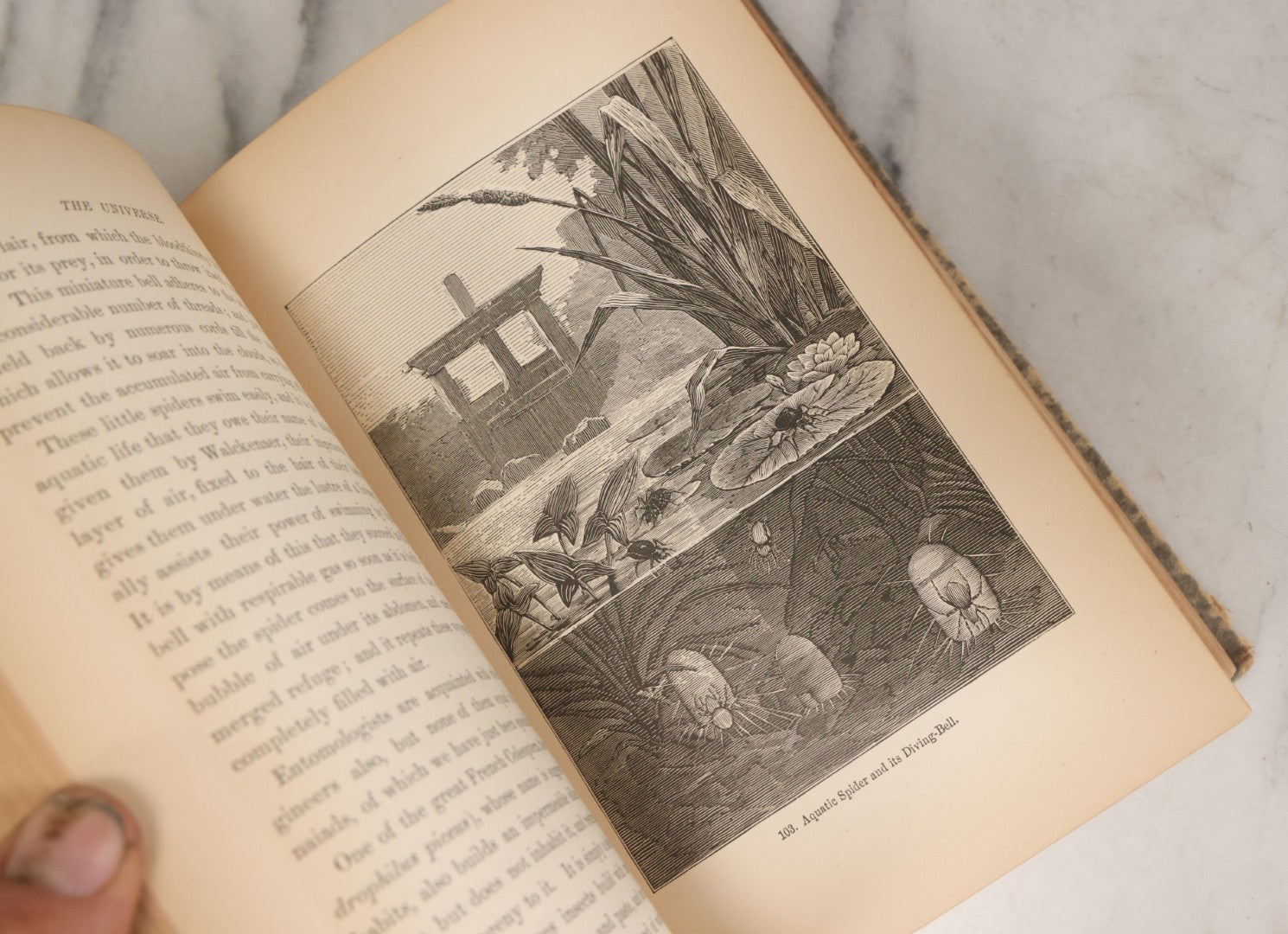 Lot 013 - "The Universe; Or The Wonders Of Creation, The Infinitely Great And The Infinitely Little" Antique Natural History Book By F.A. Pouchet, M.D., With 270 Engravings, B.B. Russell, Publisher, Boston, Seventh Edition, 1882