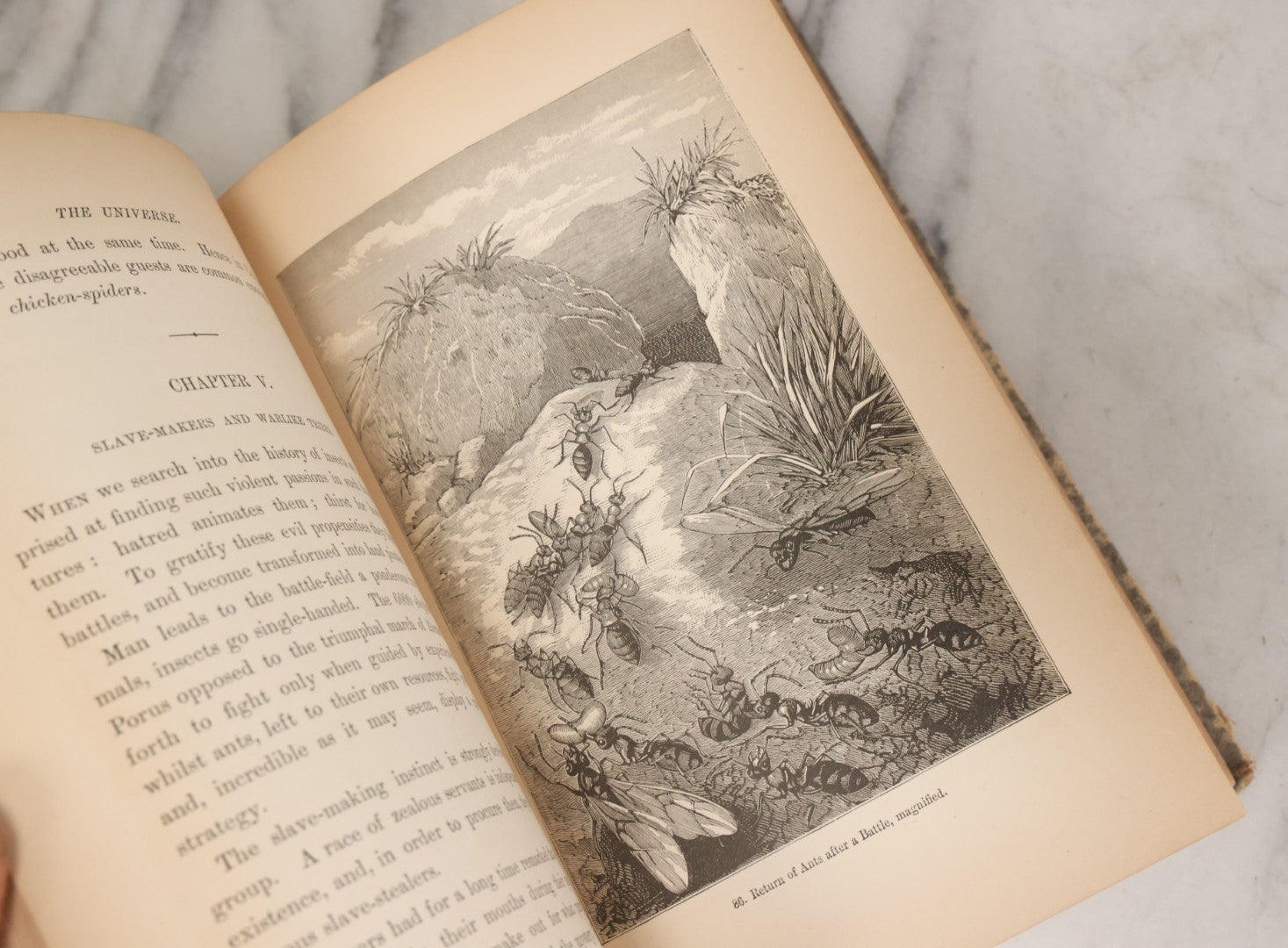 Lot 013 - "The Universe; Or The Wonders Of Creation, The Infinitely Great And The Infinitely Little" Antique Natural History Book By F.A. Pouchet, M.D., With 270 Engravings, B.B. Russell, Publisher, Boston, Seventh Edition, 1882