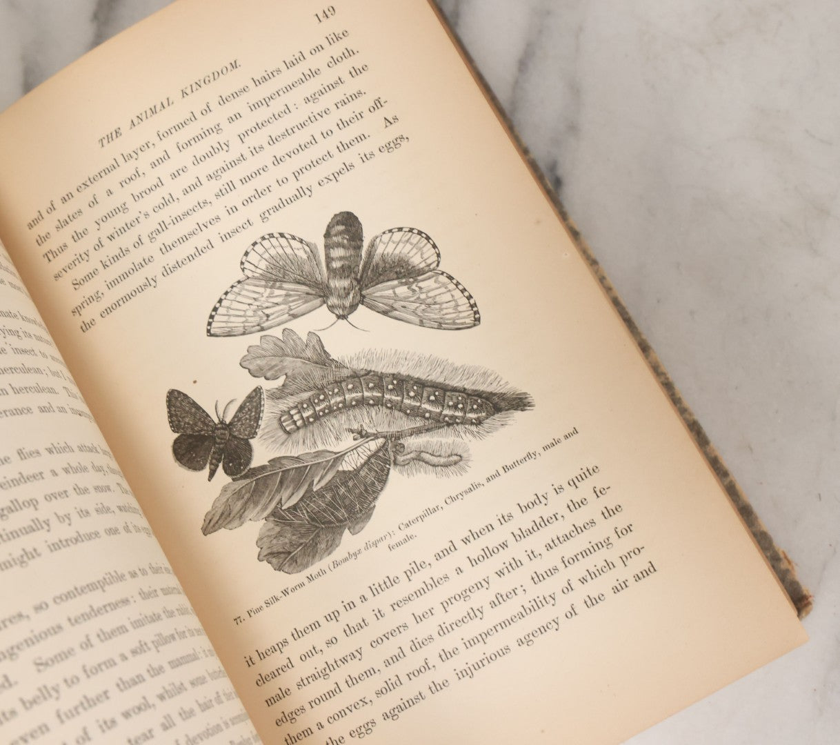 Lot 013 - "The Universe; Or The Wonders Of Creation, The Infinitely Great And The Infinitely Little" Antique Natural History Book By F.A. Pouchet, M.D., With 270 Engravings, B.B. Russell, Publisher, Boston, Seventh Edition, 1882