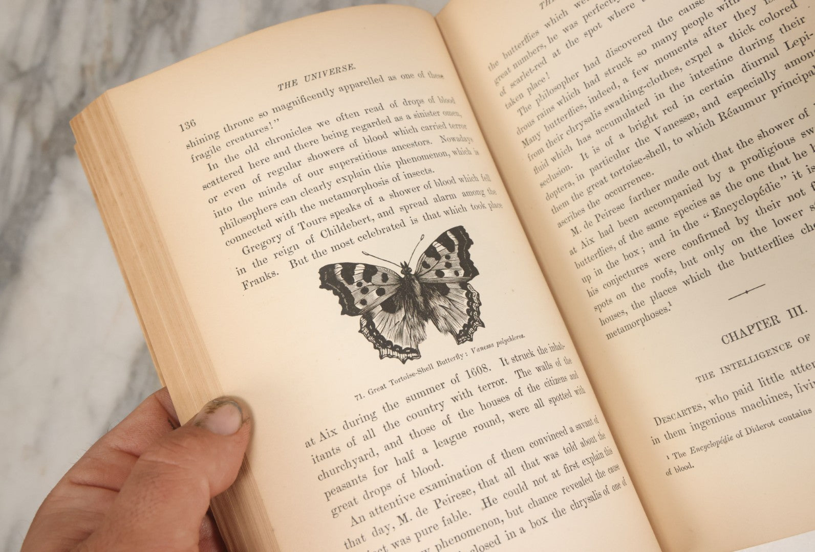 Lot 013 - "The Universe; Or The Wonders Of Creation, The Infinitely Great And The Infinitely Little" Antique Natural History Book By F.A. Pouchet, M.D., With 270 Engravings, B.B. Russell, Publisher, Boston, Seventh Edition, 1882