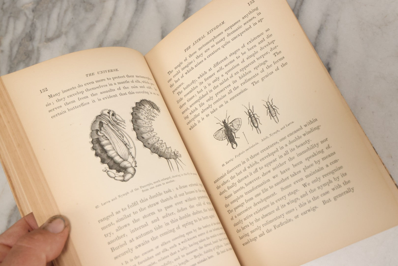 Lot 013 - "The Universe; Or The Wonders Of Creation, The Infinitely Great And The Infinitely Little" Antique Natural History Book By F.A. Pouchet, M.D., With 270 Engravings, B.B. Russell, Publisher, Boston, Seventh Edition, 1882