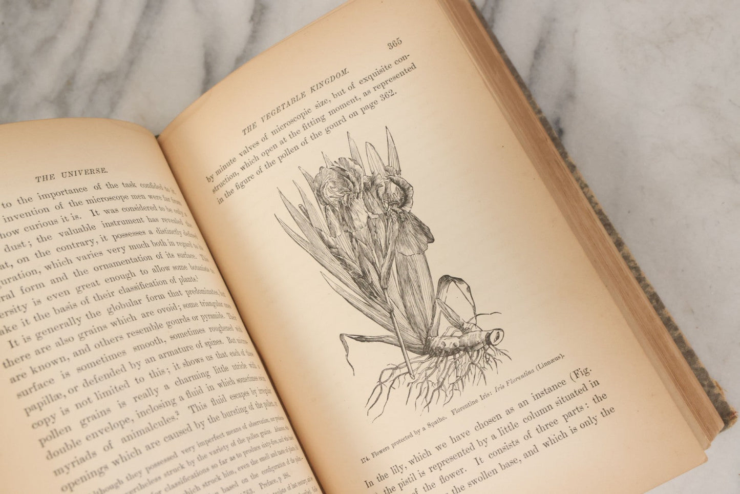 Lot 013 - "The Universe; Or The Wonders Of Creation, The Infinitely Great And The Infinitely Little" Antique Natural History Book By F.A. Pouchet, M.D., With 270 Engravings, B.B. Russell, Publisher, Boston, Seventh Edition, 1882