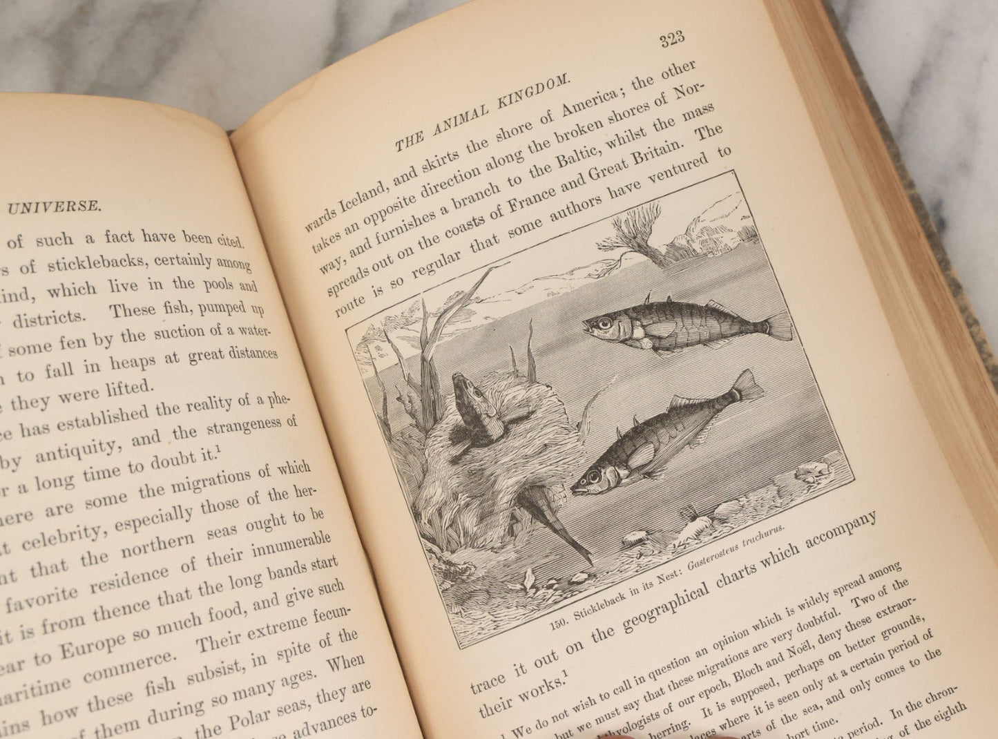 Lot 013 - "The Universe; Or The Wonders Of Creation, The Infinitely Great And The Infinitely Little" Antique Natural History Book By F.A. Pouchet, M.D., With 270 Engravings, B.B. Russell, Publisher, Boston, Seventh Edition, 1882