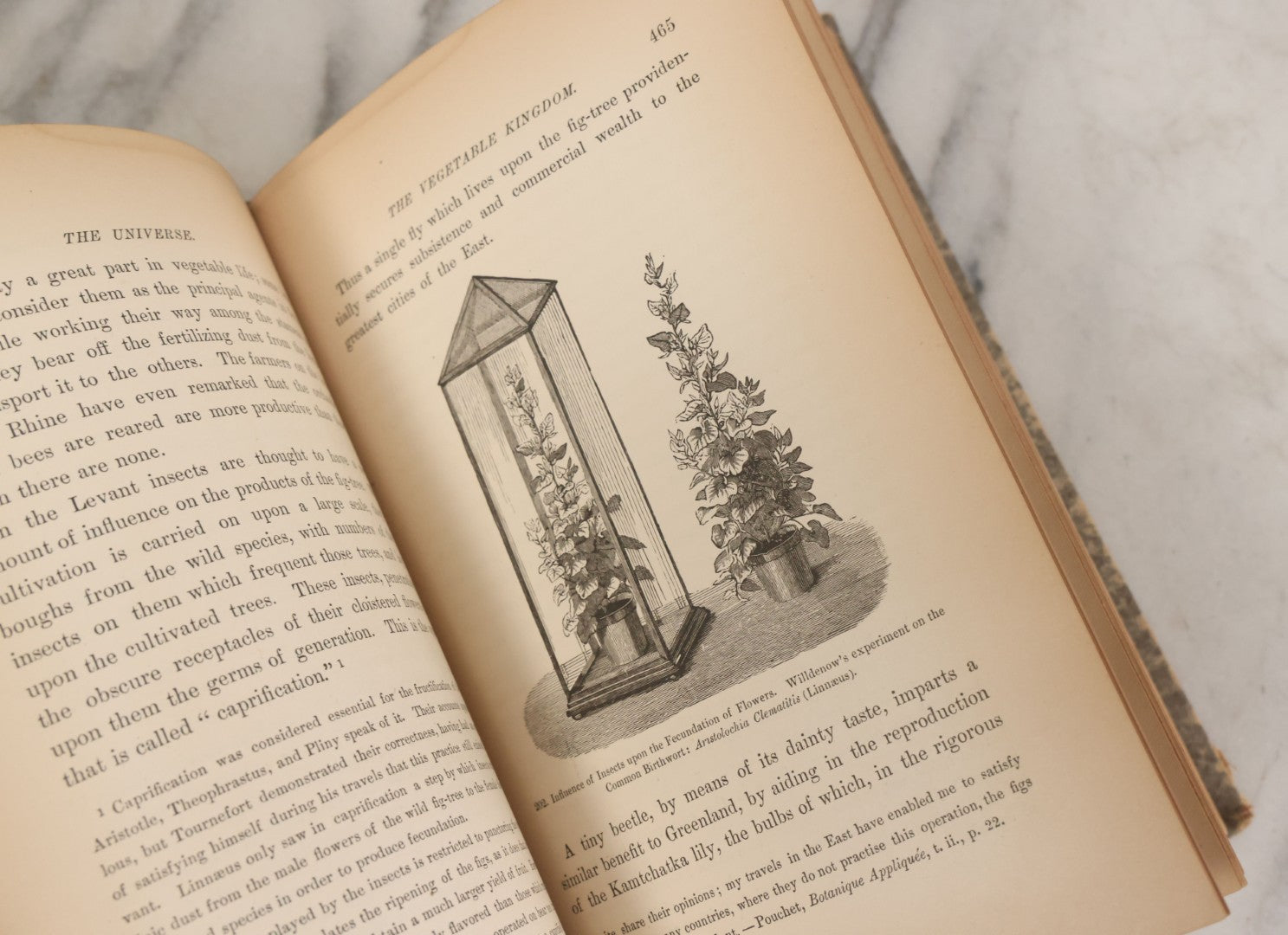 Lot 013 - "The Universe; Or The Wonders Of Creation, The Infinitely Great And The Infinitely Little" Antique Natural History Book By F.A. Pouchet, M.D., With 270 Engravings, B.B. Russell, Publisher, Boston, Seventh Edition, 1882