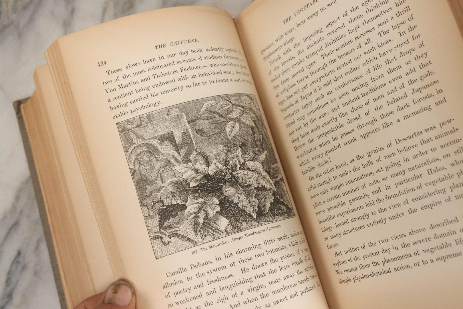 Lot 013 - "The Universe; Or The Wonders Of Creation, The Infinitely Great And The Infinitely Little" Antique Natural History Book By F.A. Pouchet, M.D., With 270 Engravings, B.B. Russell, Publisher, Boston, Seventh Edition, 1882