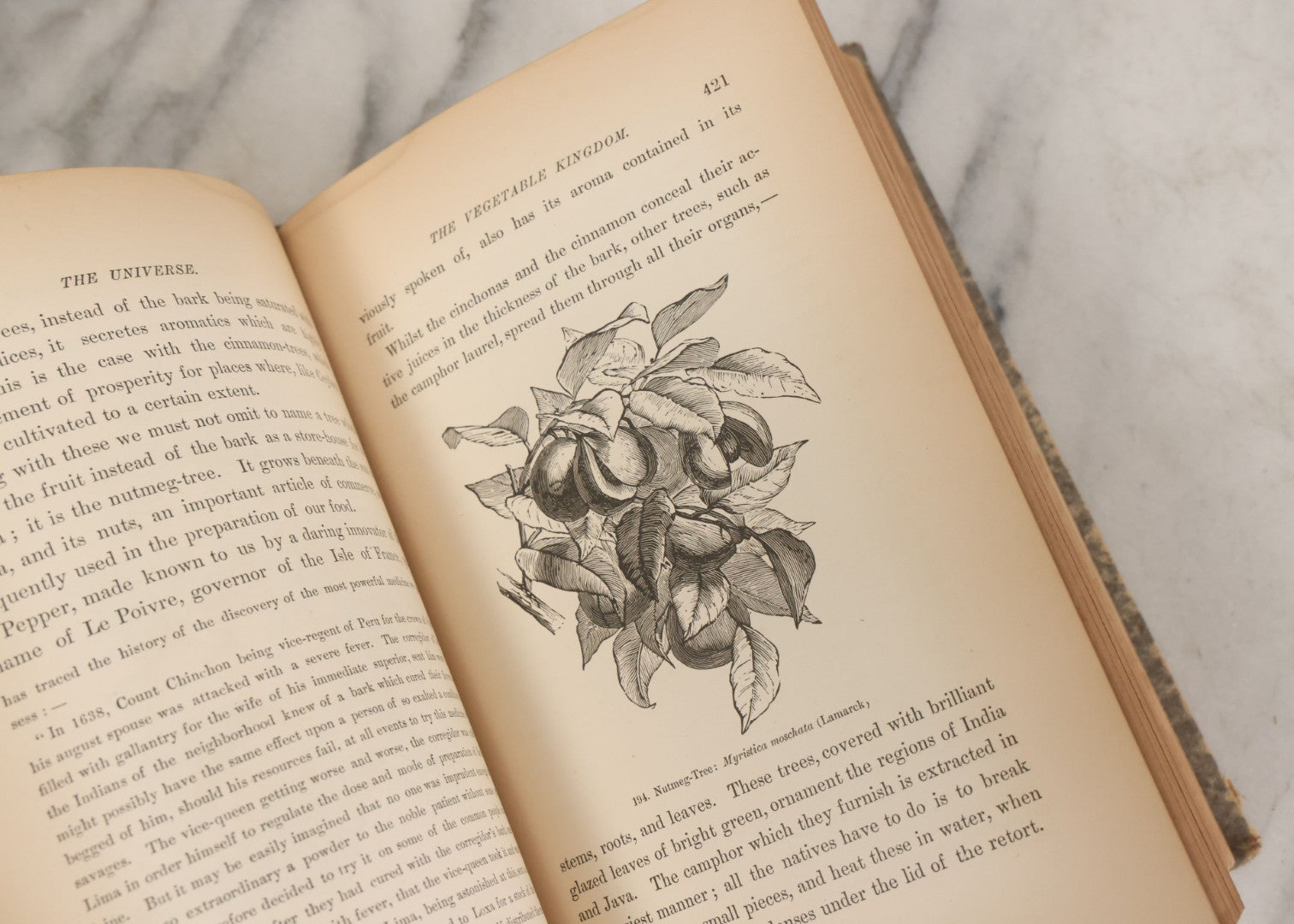 Lot 013 - "The Universe; Or The Wonders Of Creation, The Infinitely Great And The Infinitely Little" Antique Natural History Book By F.A. Pouchet, M.D., With 270 Engravings, B.B. Russell, Publisher, Boston, Seventh Edition, 1882