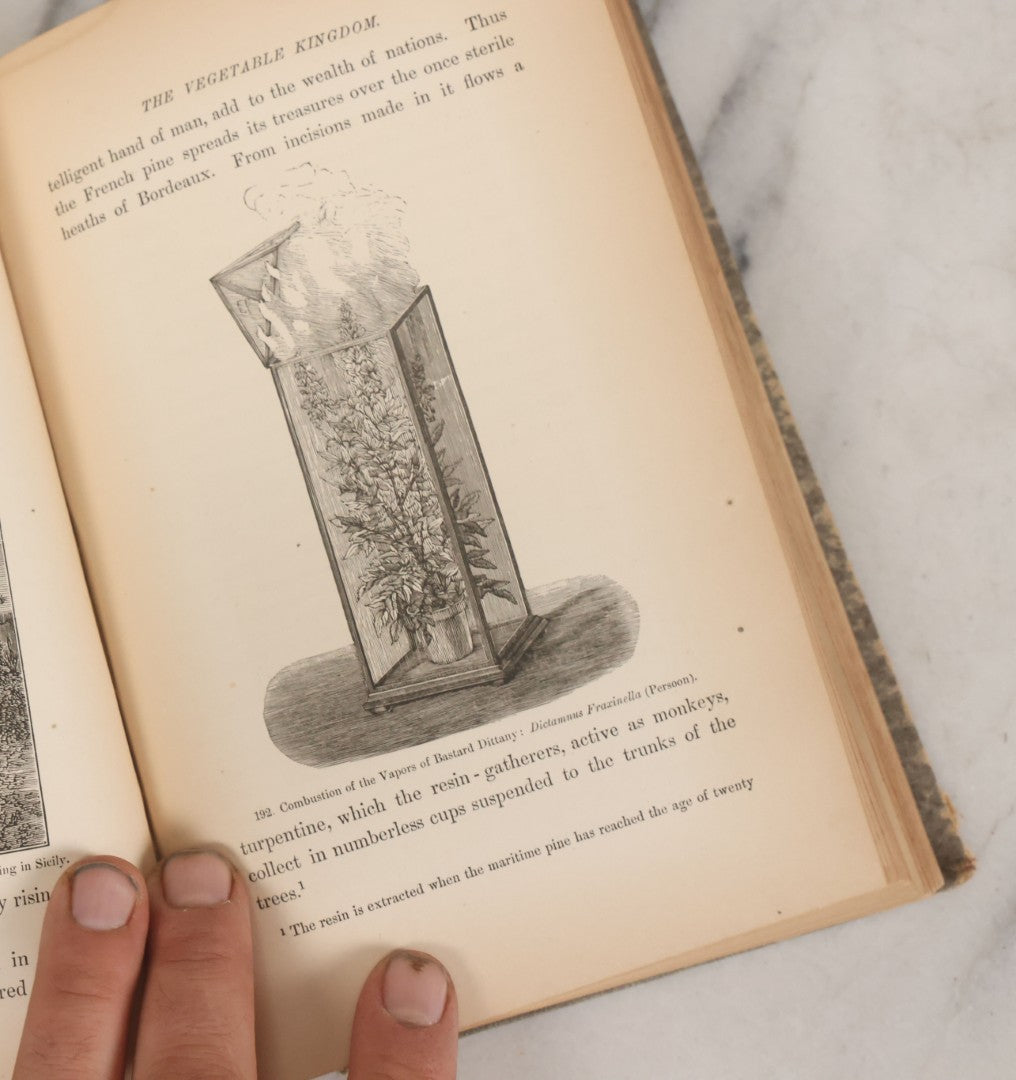 Lot 013 - "The Universe; Or The Wonders Of Creation, The Infinitely Great And The Infinitely Little" Antique Natural History Book By F.A. Pouchet, M.D., With 270 Engravings, B.B. Russell, Publisher, Boston, Seventh Edition, 1882