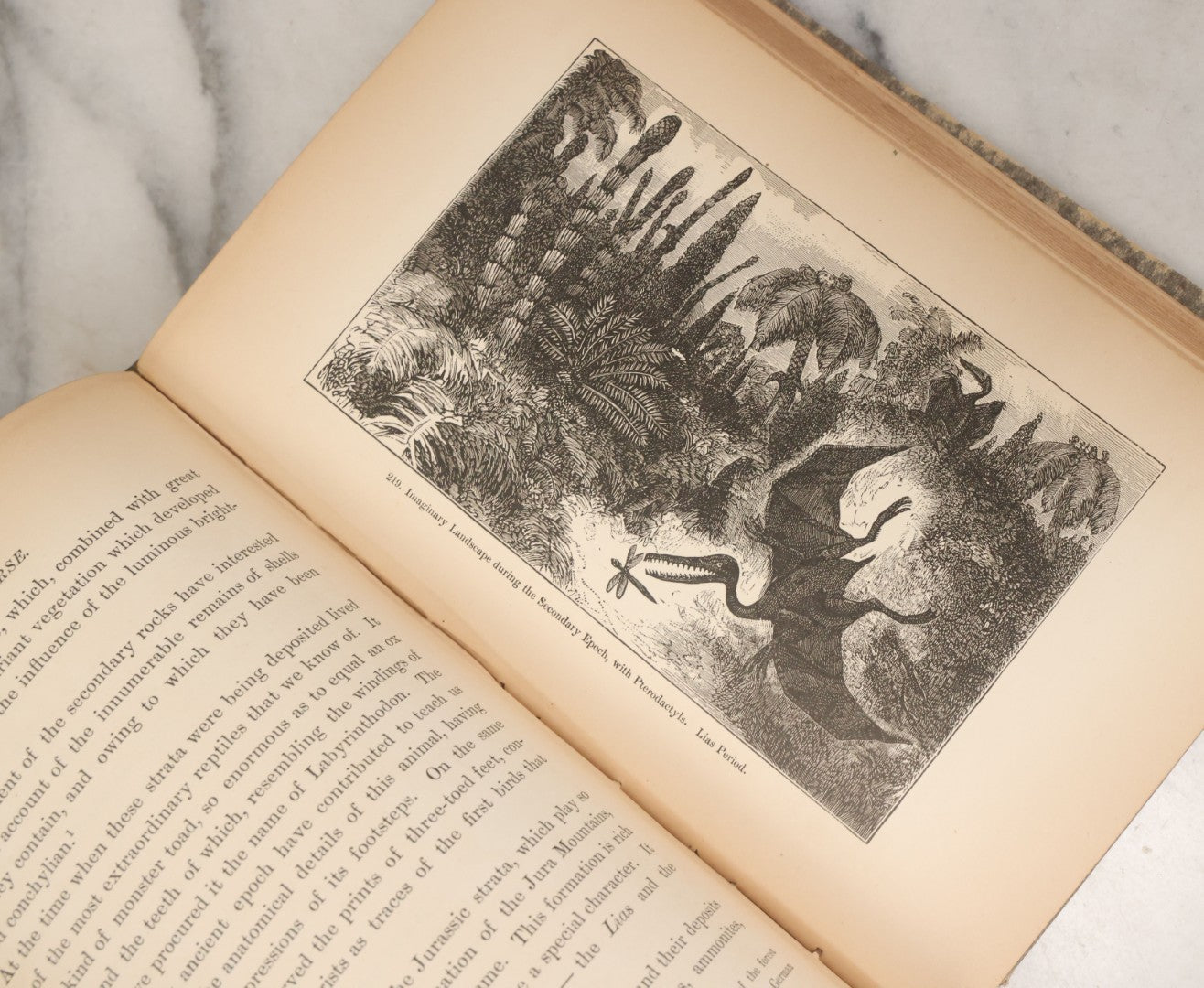 Lot 013 - "The Universe; Or The Wonders Of Creation, The Infinitely Great And The Infinitely Little" Antique Natural History Book By F.A. Pouchet, M.D., With 270 Engravings, B.B. Russell, Publisher, Boston, Seventh Edition, 1882