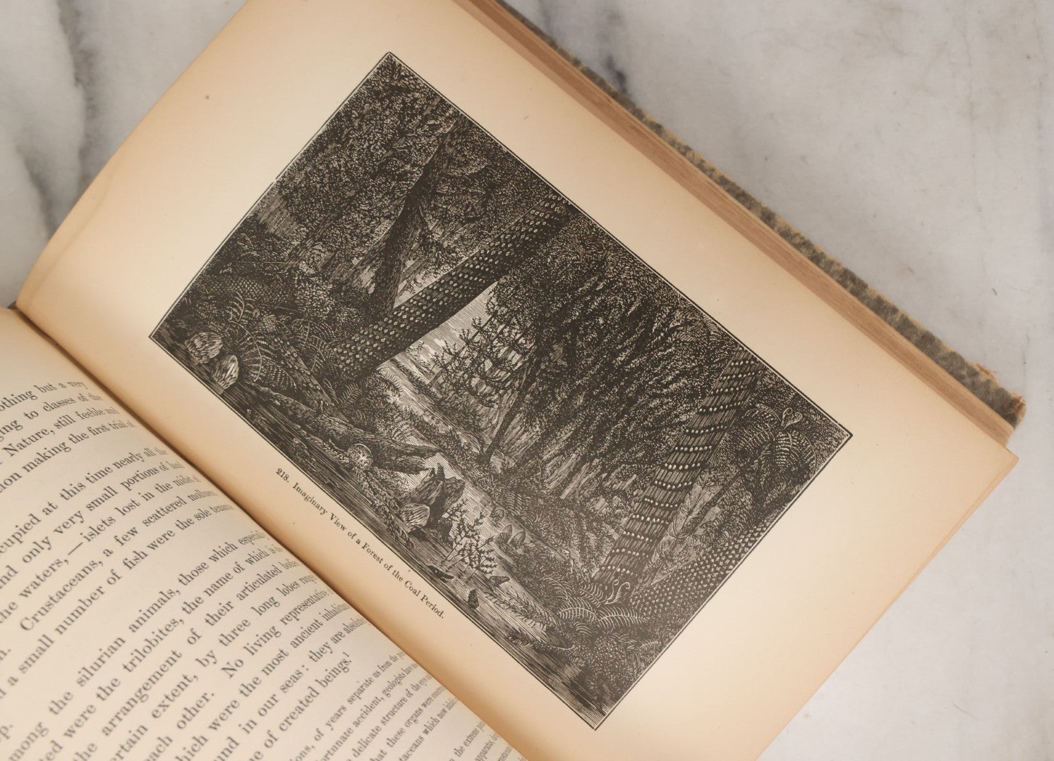 Lot 013 - "The Universe; Or The Wonders Of Creation, The Infinitely Great And The Infinitely Little" Antique Natural History Book By F.A. Pouchet, M.D., With 270 Engravings, B.B. Russell, Publisher, Boston, Seventh Edition, 1882