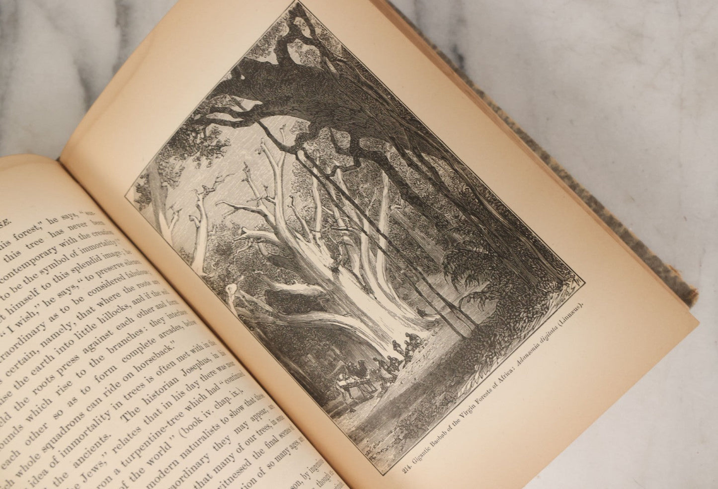 Lot 013 - "The Universe; Or The Wonders Of Creation, The Infinitely Great And The Infinitely Little" Antique Natural History Book By F.A. Pouchet, M.D., With 270 Engravings, B.B. Russell, Publisher, Boston, Seventh Edition, 1882