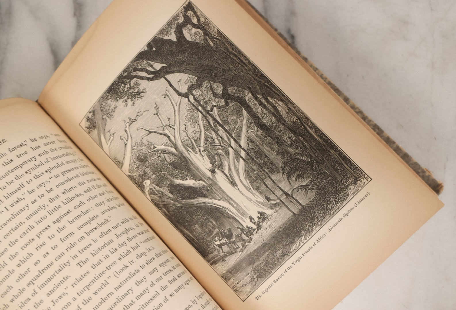 Lot 013 - "The Universe; Or The Wonders Of Creation, The Infinitely Great And The Infinitely Little" Antique Natural History Book By F.A. Pouchet, M.D., With 270 Engravings, B.B. Russell, Publisher, Boston, Seventh Edition, 1882