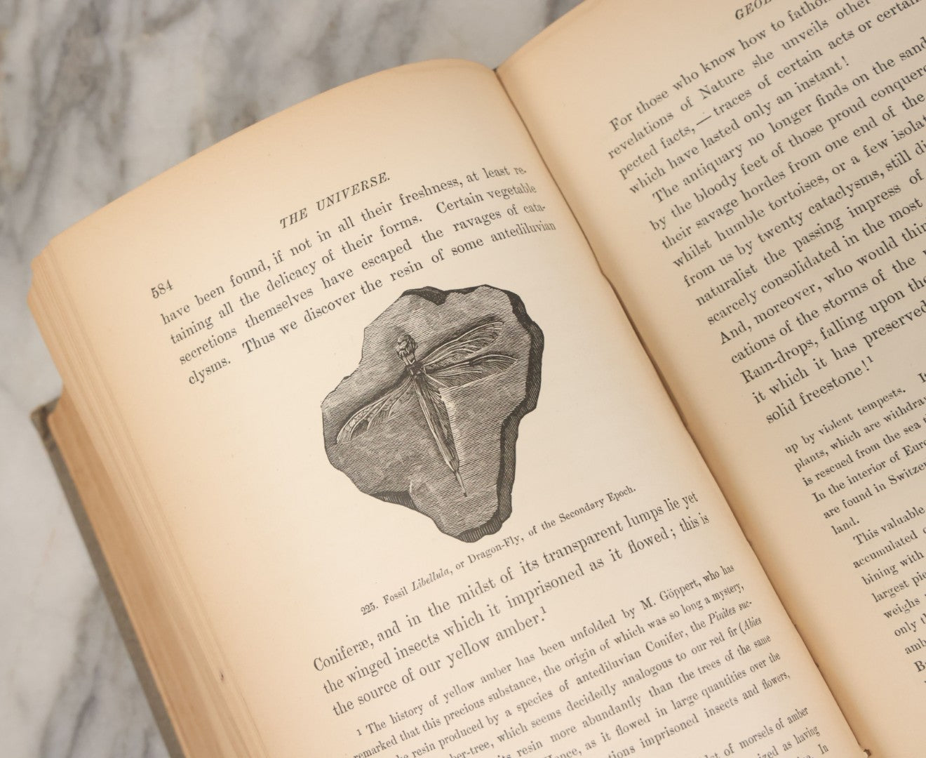 Lot 013 - "The Universe; Or The Wonders Of Creation, The Infinitely Great And The Infinitely Little" Antique Natural History Book By F.A. Pouchet, M.D., With 270 Engravings, B.B. Russell, Publisher, Boston, Seventh Edition, 1882