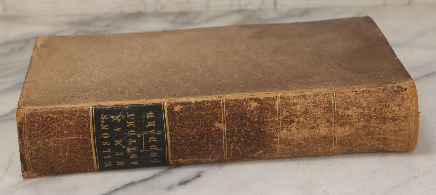 Lot 015 - "Wilson's Anatomy: A System Of Human Anatomy, General And Special" Antique Medical Book By Erasmus Wilson, M.D., Second American Edition, With Over 200 Illustrations By Gilbert, Lea And Blanchard, Publishers, Philadelphia, 1844