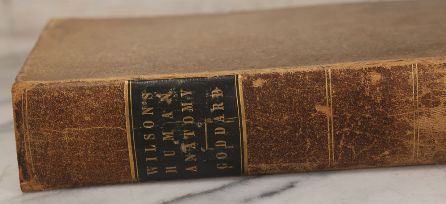 Lot 015 - "Wilson's Anatomy: A System Of Human Anatomy, General And Special" Antique Medical Book By Erasmus Wilson, M.D., Second American Edition, With Over 200 Illustrations By Gilbert, Lea And Blanchard, Publishers, Philadelphia, 1844