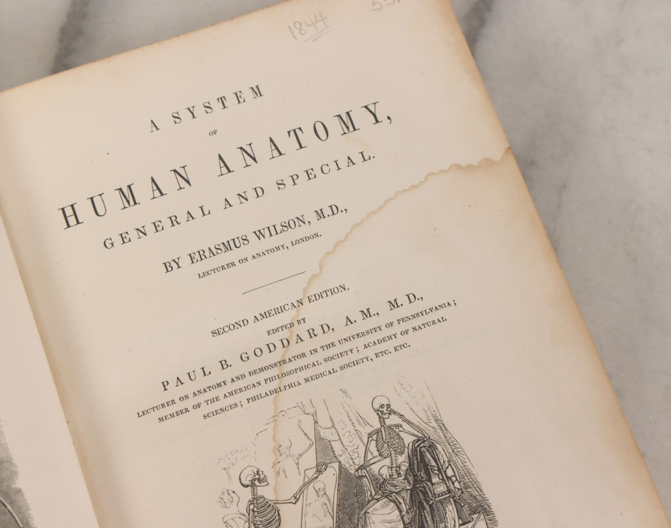 Lot 015 - "Wilson's Anatomy: A System Of Human Anatomy, General And Special" Antique Medical Book By Erasmus Wilson, M.D., Second American Edition, With Over 200 Illustrations By Gilbert, Lea And Blanchard, Publishers, Philadelphia, 1844
