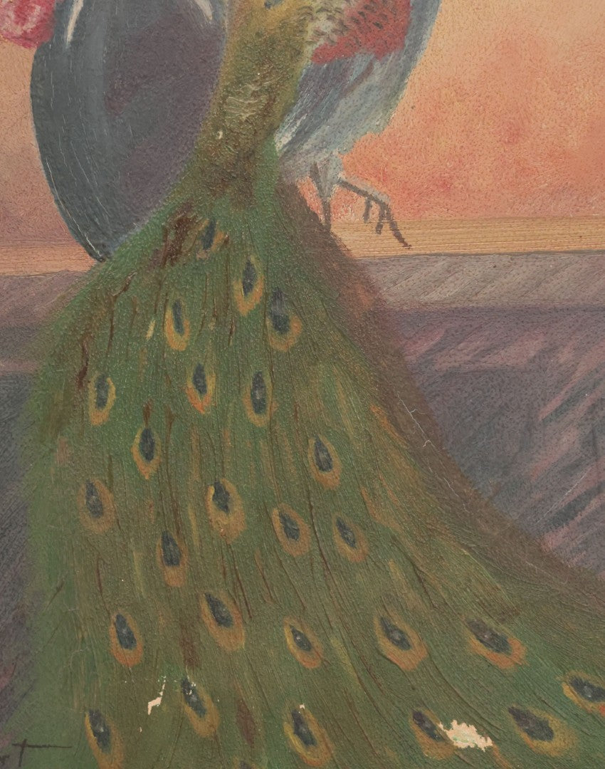 Lot 017 - Vintage Painting On Paper Of Peacock Bird Next To Flower Vase, Artist Signed G. Gassert, 1935, In Frame, 10" x 13"
