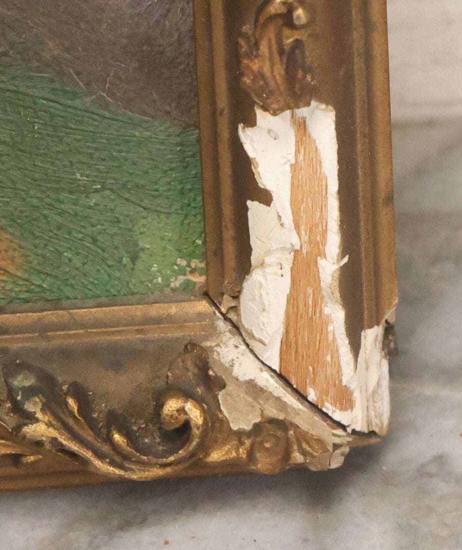 Lot 017 - Vintage Painting On Paper Of Peacock Bird Next To Flower Vase, Artist Signed G. Gassert, 1935, In Frame, 10" x 13"