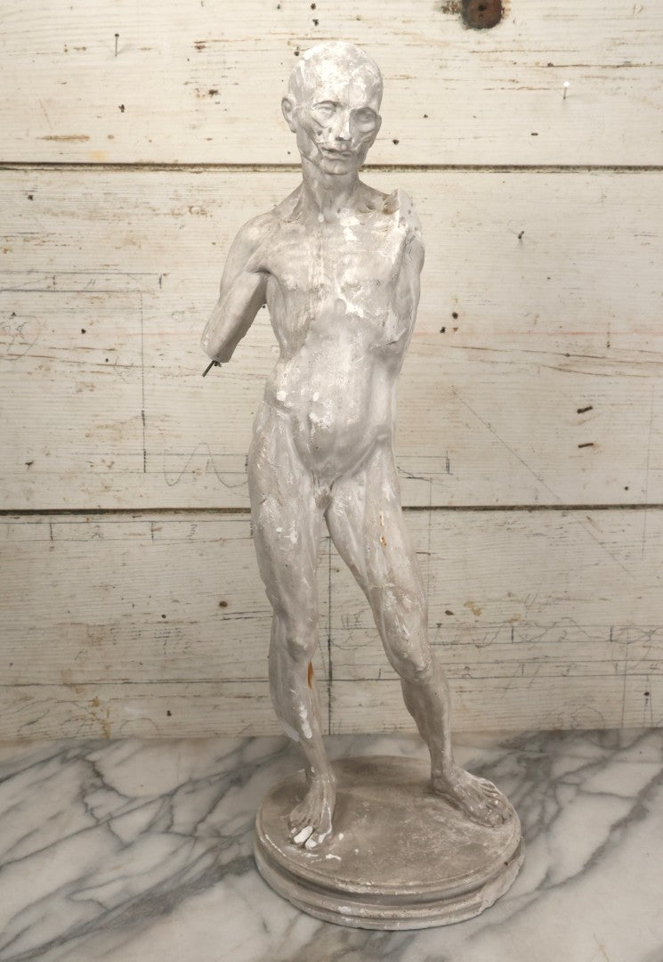 Lot 022 - Antique Anatomical Medical Human Body Chalkware Sculpture Statue, Manufactured By P.P. Caproni & Bro., Caproni Casts, Made In U.S.A., Boston, Note Heavy Wear And Losses, 23-1/2" H