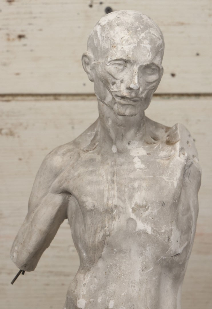 Lot 022 - Antique Anatomical Medical Human Body Chalkware Sculpture Statue, Manufactured By P.P. Caproni & Bro., Caproni Casts, Made In U.S.A., Boston, Note Heavy Wear And Losses, 23-1/2" H