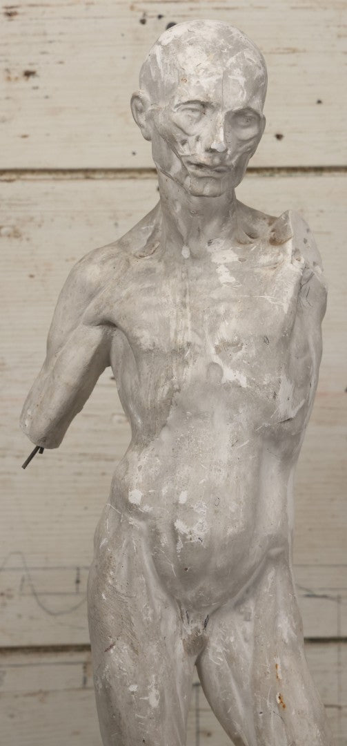 Lot 022 - Antique Anatomical Medical Human Body Chalkware Sculpture Statue, Manufactured By P.P. Caproni & Bro., Caproni Casts, Made In U.S.A., Boston, Note Heavy Wear And Losses, 23-1/2" H