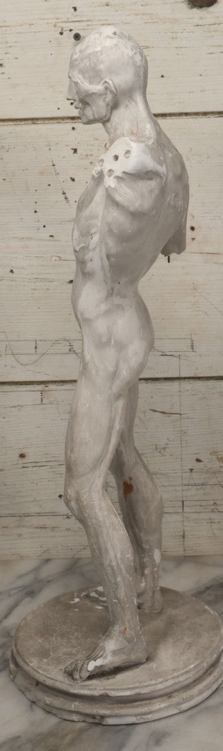 Lot 022 - Antique Anatomical Medical Human Body Chalkware Sculpture Statue, Manufactured By P.P. Caproni & Bro., Caproni Casts, Made In U.S.A., Boston, Note Heavy Wear And Losses, 23-1/2" H