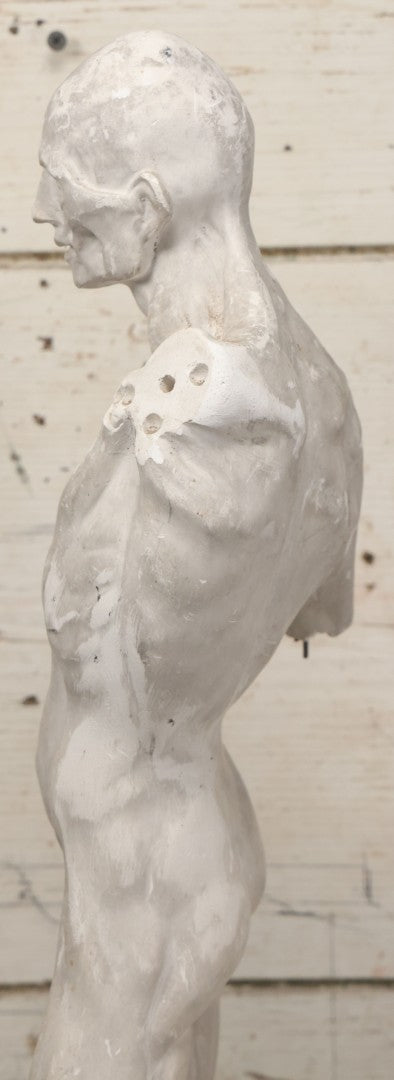 Lot 022 - Antique Anatomical Medical Human Body Chalkware Sculpture Statue, Manufactured By P.P. Caproni & Bro., Caproni Casts, Made In U.S.A., Boston, Note Heavy Wear And Losses, 23-1/2" H
