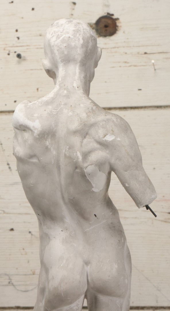 Lot 022 - Antique Anatomical Medical Human Body Chalkware Sculpture Statue, Manufactured By P.P. Caproni & Bro., Caproni Casts, Made In U.S.A., Boston, Note Heavy Wear And Losses, 23-1/2" H