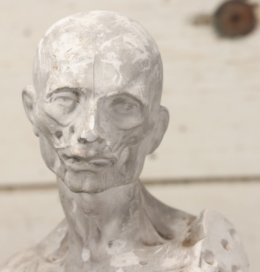 Lot 022 - Antique Anatomical Medical Human Body Chalkware Sculpture Statue, Manufactured By P.P. Caproni & Bro., Caproni Casts, Made In U.S.A., Boston, Note Heavy Wear And Losses, 23-1/2" H