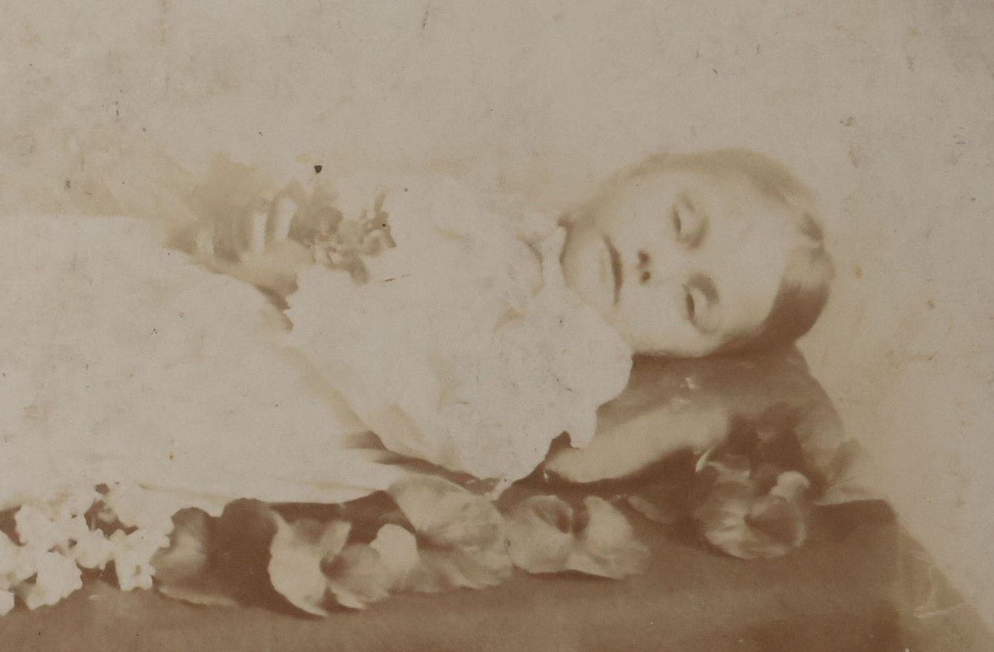 Lot 026 - Antique Cabinet Card Postmortem Photograph Of Young Girl On Funeral Table, Identified As Bernice Taylor, Granddaughter Of Arnold Johnson, From Meader's Art Studio, Williamston, Michigan