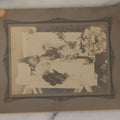 Lot 029 - Antique Boarded Post Mortem Photograph Of Baby In White Childs Coffin With Flowers