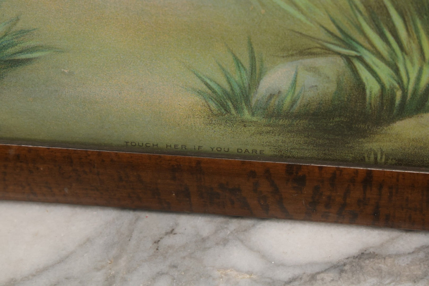 Lot 036 - Antique Chromolithograph Print Of A Dog Guarding A Little Girl And Her Doll, Titled "Touch Her If You Dare," By The James Lee Co., Chicago, Circa 1906, In Frame, 17-5/6" x 21-5/8"