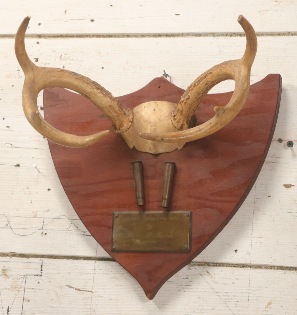 Lot 039 - Vintage Deer Antler Folk Art Display With Antlers And Skull Cap, Bullet Casings, And Hand Engraved Plaque, Which Reads "Killed December 4, 1961 By William R Burns, Age 14" 