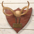 Lot 039 - Vintage Deer Antler Folk Art Display With Antlers And Skull Cap, Bullet Casings, And Hand Engraved Plaque, Which Reads "Killed December 4, 1961 By William R Burns, Age 14"