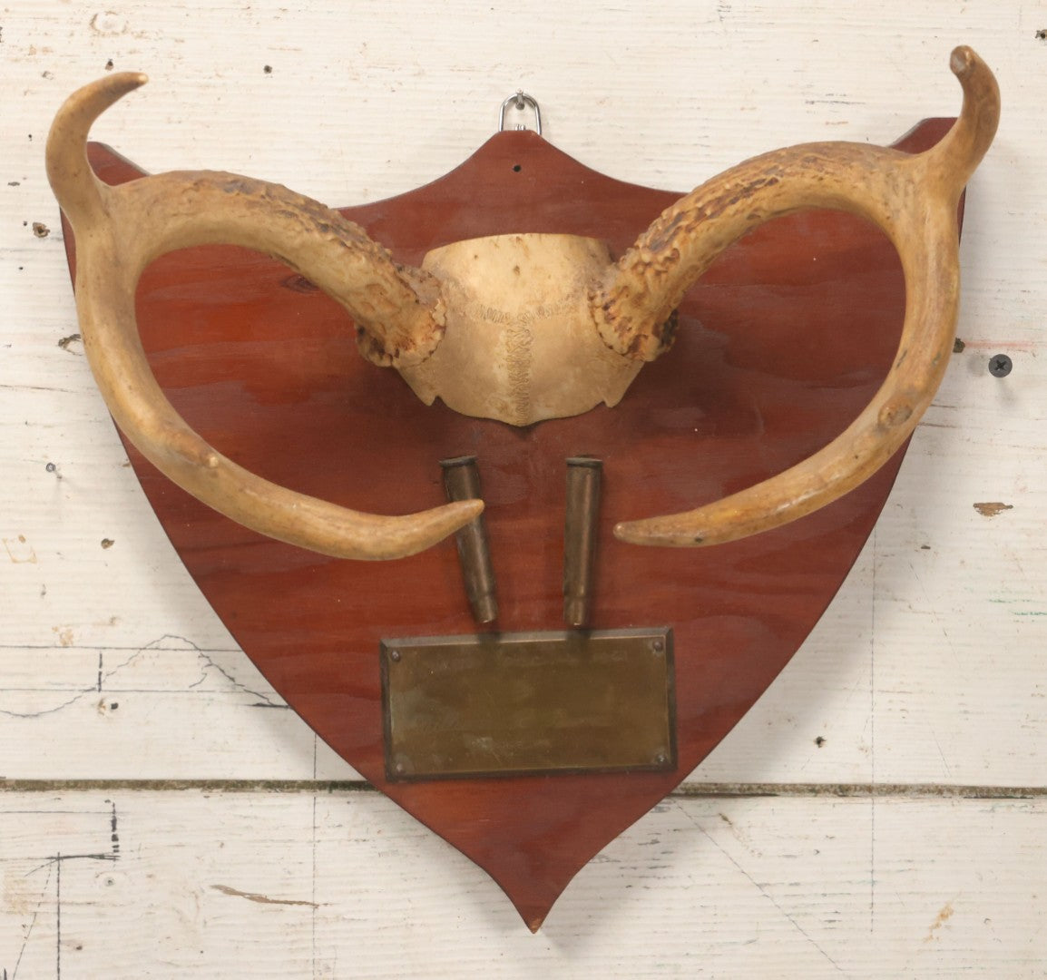 Lot 039 - Vintage Deer Antler Folk Art Display With Antlers And Skull Cap, Bullet Casings, And Hand Engraved Plaque, Which Reads "Killed December 4, 1961 By William R Burns, Age 14" 