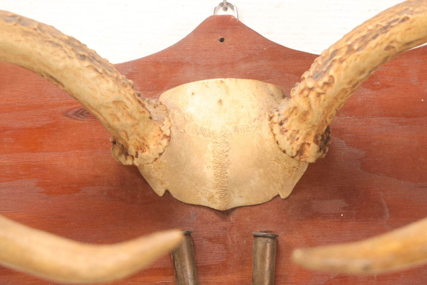 Lot 039 - Vintage Deer Antler Folk Art Display With Antlers And Skull Cap, Bullet Casings, And Hand Engraved Plaque, Which Reads "Killed December 4, 1961 By William R Burns, Age 14" 