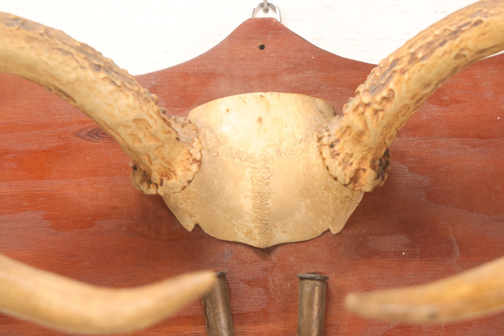 Lot 039 - Vintage Deer Antler Folk Art Display With Antlers And Skull Cap, Bullet Casings, And Hand Engraved Plaque, Which Reads "Killed December 4, 1961 By William R Burns, Age 14" 