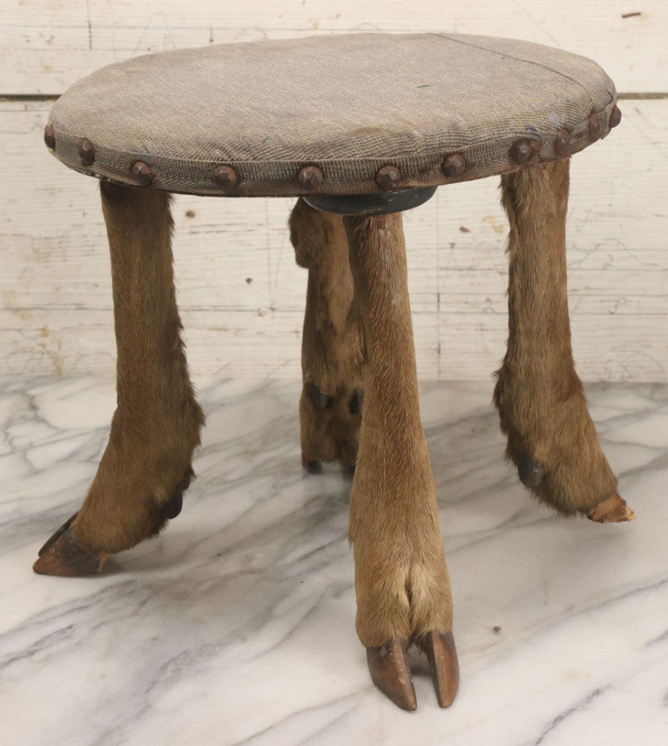 Lot 042 - Vintage Deer Leg And Hoof Taxidermy Foot Stool With Original Fabric Upholstery, Four Deer Legs, Note One Leg Missing Hoof Claw