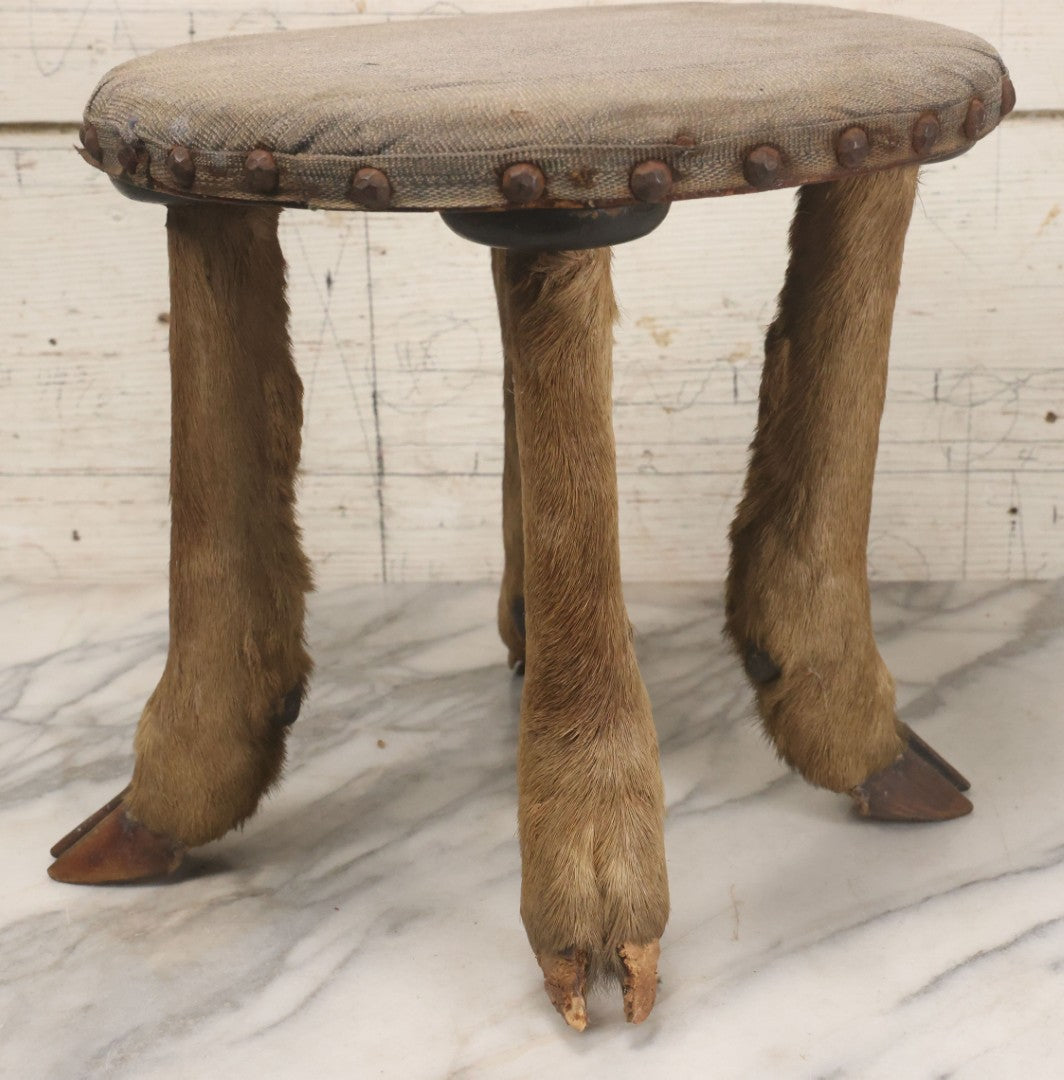 Lot 042 - Vintage Deer Leg And Hoof Taxidermy Foot Stool With Original Fabric Upholstery, Four Deer Legs, Note One Leg Missing Hoof Claw