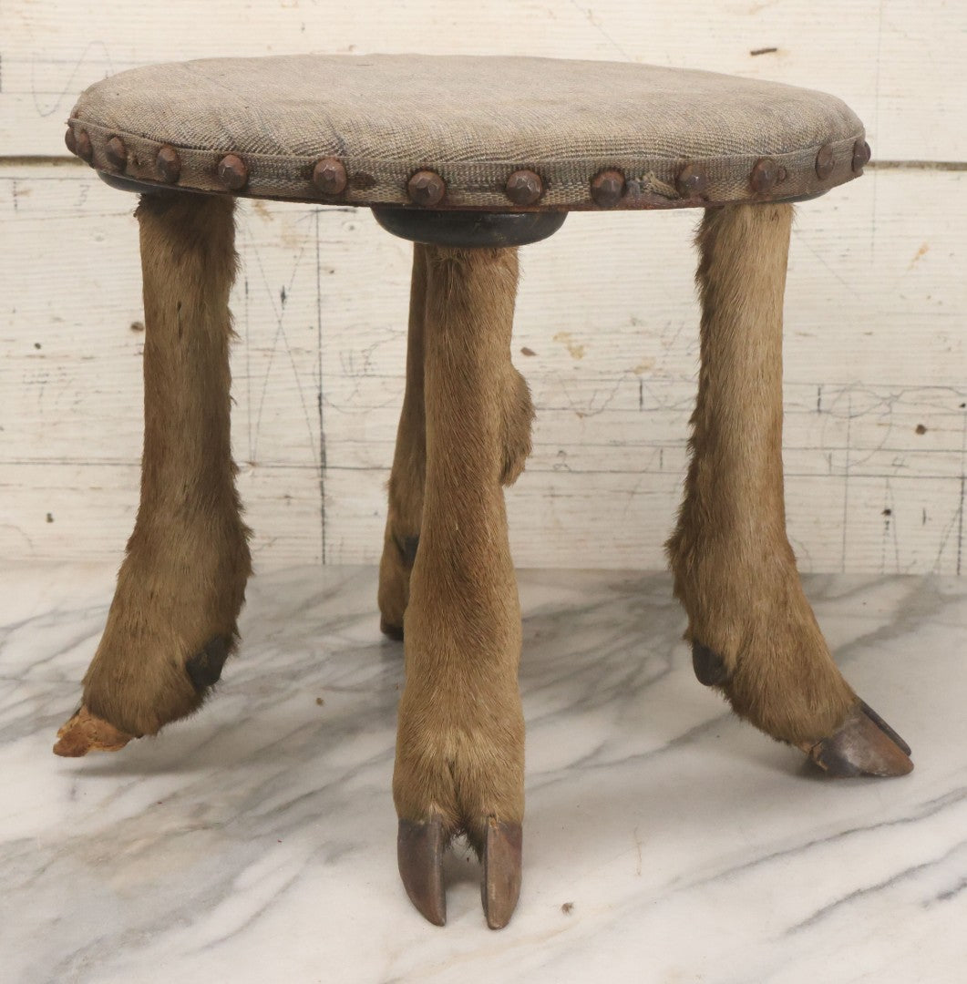 Lot 042 - Vintage Deer Leg And Hoof Taxidermy Foot Stool With Original Fabric Upholstery, Four Deer Legs, Note One Leg Missing Hoof Claw