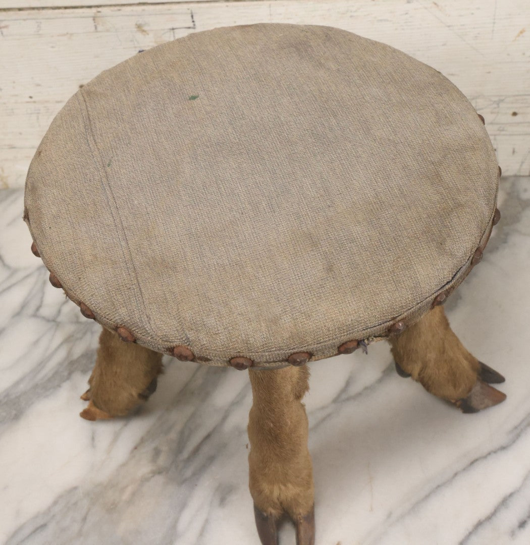 Lot 042 - Vintage Deer Leg And Hoof Taxidermy Foot Stool With Original Fabric Upholstery, Four Deer Legs, Note One Leg Missing Hoof Claw