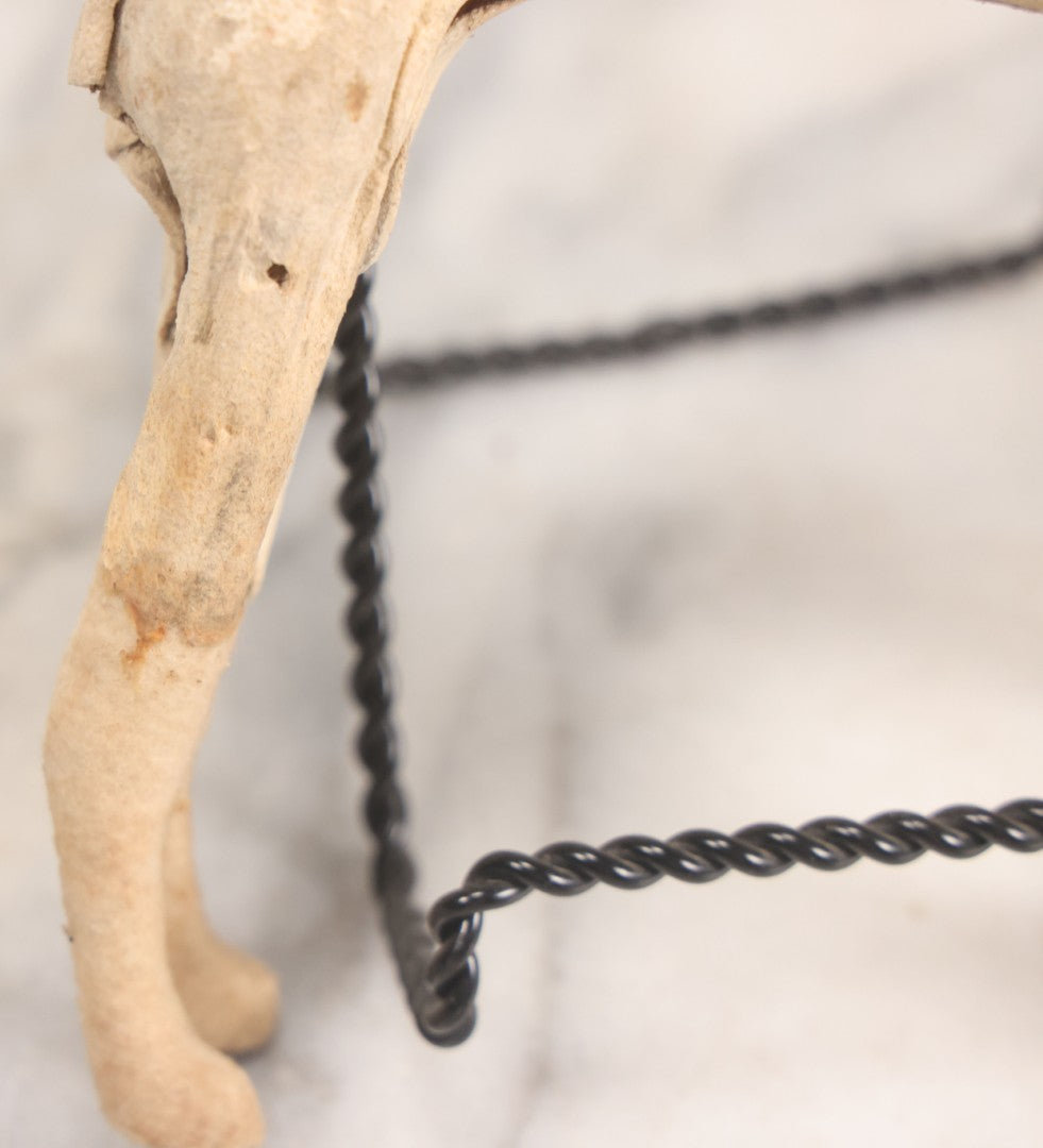 Lot 021 - Antique German Leather And Fabric Greyhound Dog Figurine Toy With Glass Eyes, Note Wear And Tear, Losses