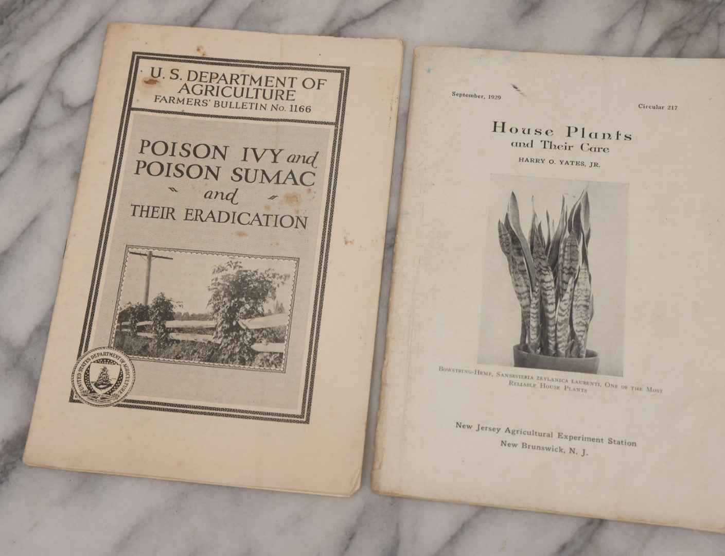 Lot 067 - Grouping Of Four Agricultural Pamphlets Including "Houseplants And Their Care" (September 1929), "Poison Ivy And Poison Sumac" (May 1929), "Transplanting Trees And Shrubs" (August 1929), "Chrysanthemums For The Home" (September 1931)