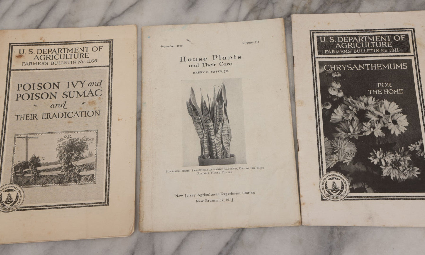 Lot 067 - Grouping Of Four Agricultural Pamphlets Including "Houseplants And Their Care" (September 1929), "Poison Ivy And Poison Sumac" (May 1929), "Transplanting Trees And Shrubs" (August 1929), "Chrysanthemums For The Home" (September 1931)