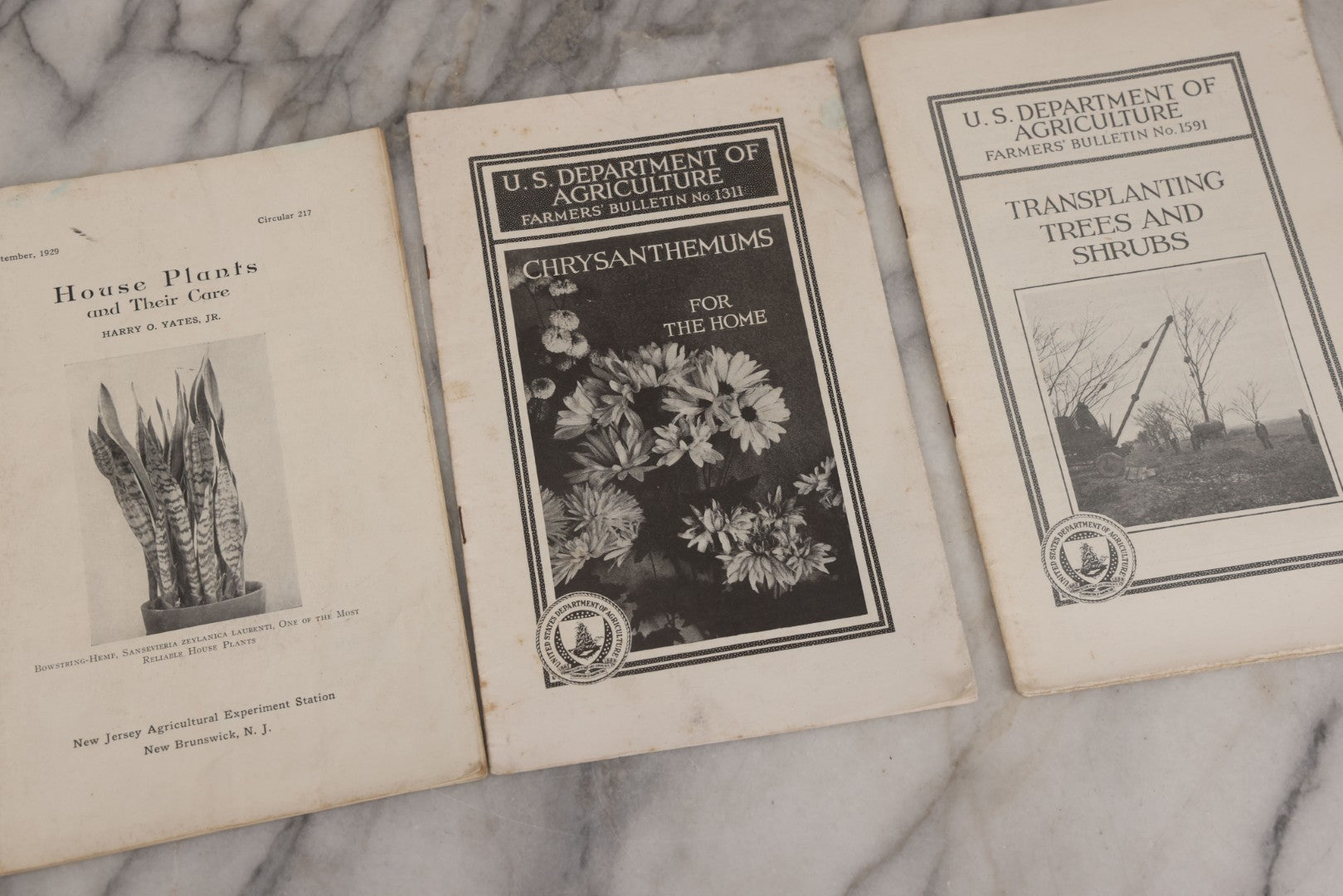 Lot 067 - Grouping Of Four Agricultural Pamphlets Including "Houseplants And Their Care" (September 1929), "Poison Ivy And Poison Sumac" (May 1929), "Transplanting Trees And Shrubs" (August 1929), "Chrysanthemums For The Home" (September 1931)