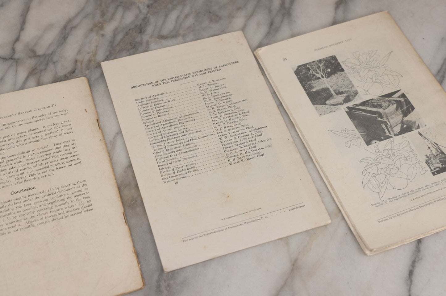Lot 067 - Grouping Of Four Agricultural Pamphlets Including "Houseplants And Their Care" (September 1929), "Poison Ivy And Poison Sumac" (May 1929), "Transplanting Trees And Shrubs" (August 1929), "Chrysanthemums For The Home" (September 1931)