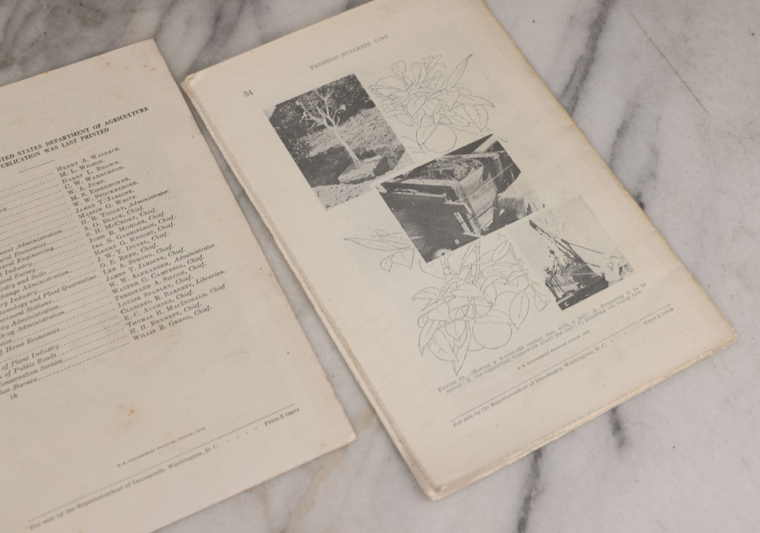 Lot 067 - Grouping Of Four Agricultural Pamphlets Including "Houseplants And Their Care" (September 1929), "Poison Ivy And Poison Sumac" (May 1929), "Transplanting Trees And Shrubs" (August 1929), "Chrysanthemums For The Home" (September 1931)