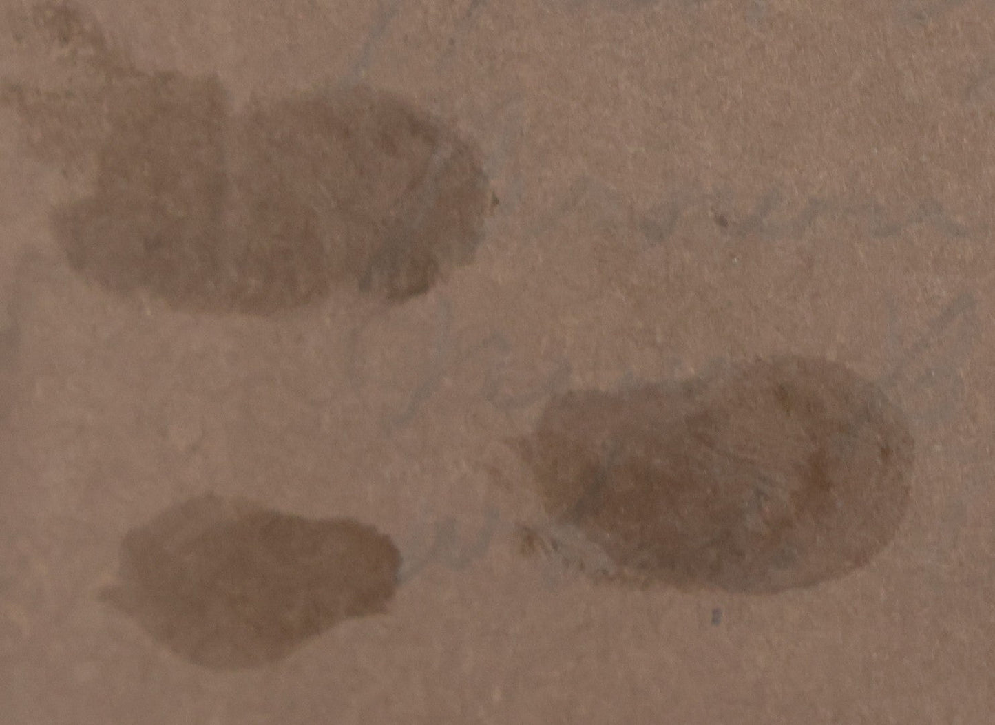 Lot 077 - Antique Boarded Tinted Photograph Of Young Girl In Blue Dress Standing Besides Wicker Chair With Her Period China Doll, Note Color Tinting Notes On Verso