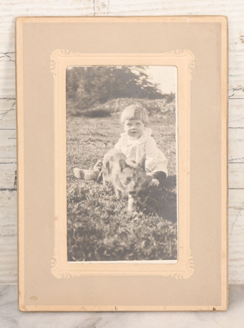 Lot 078 - Antique Snapshot Photograph In Paper Board Frame Of Little Girl Named Gladis With Blond Hair Sitting In Grass With Cat Named Toby, Identified On Verso